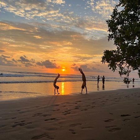 Cabana Valfio Bahia Ballena Увита Екстериор снимка